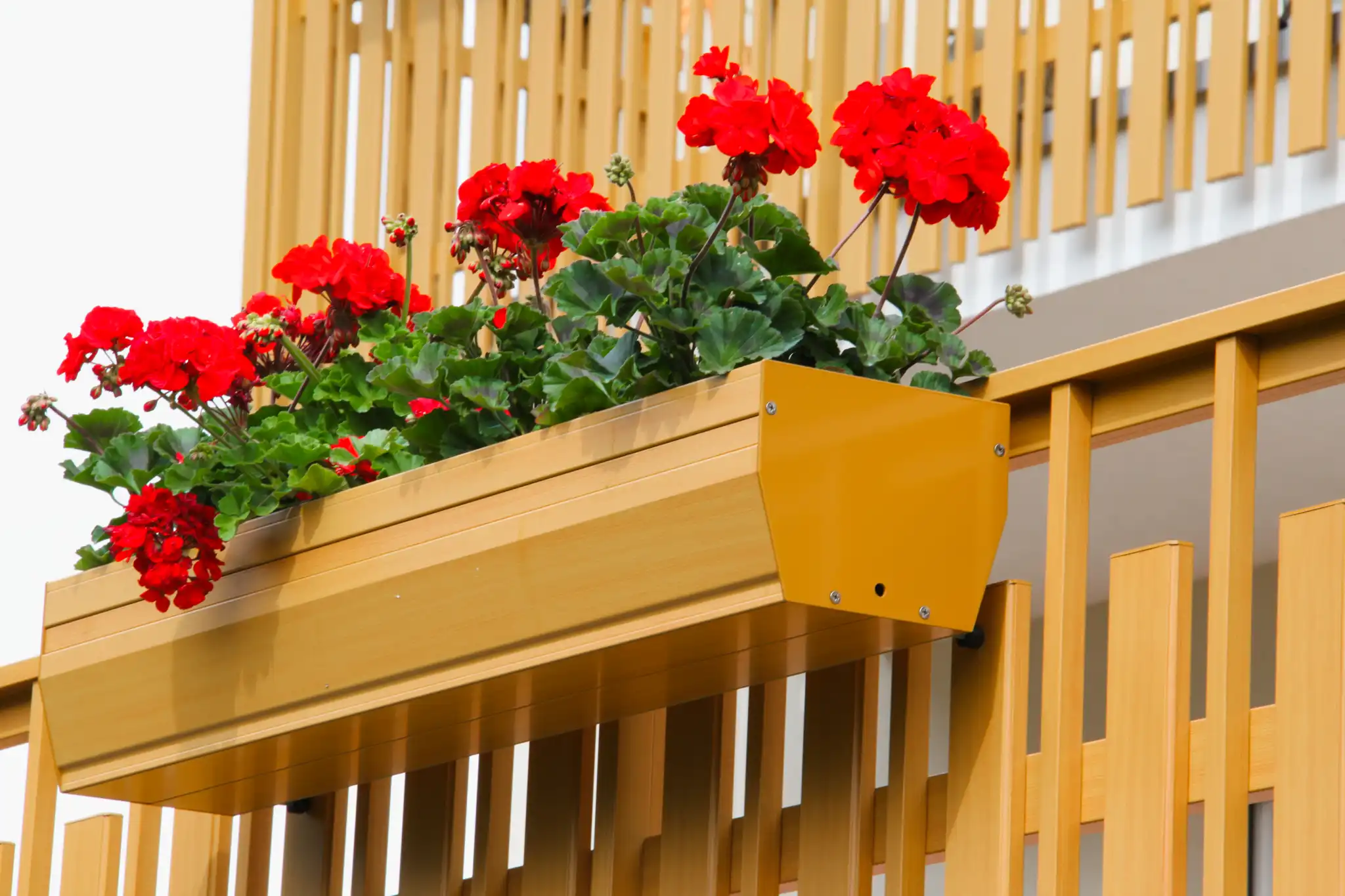 Balkongeländer mit Blumentopf